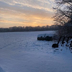 Meet your Posher, Kaylin